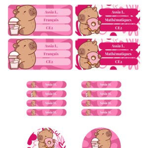 Kit d'étiquettes scolaires personnalisées Capybara comprenant 46 stickers pour la rentrée scolaire.
