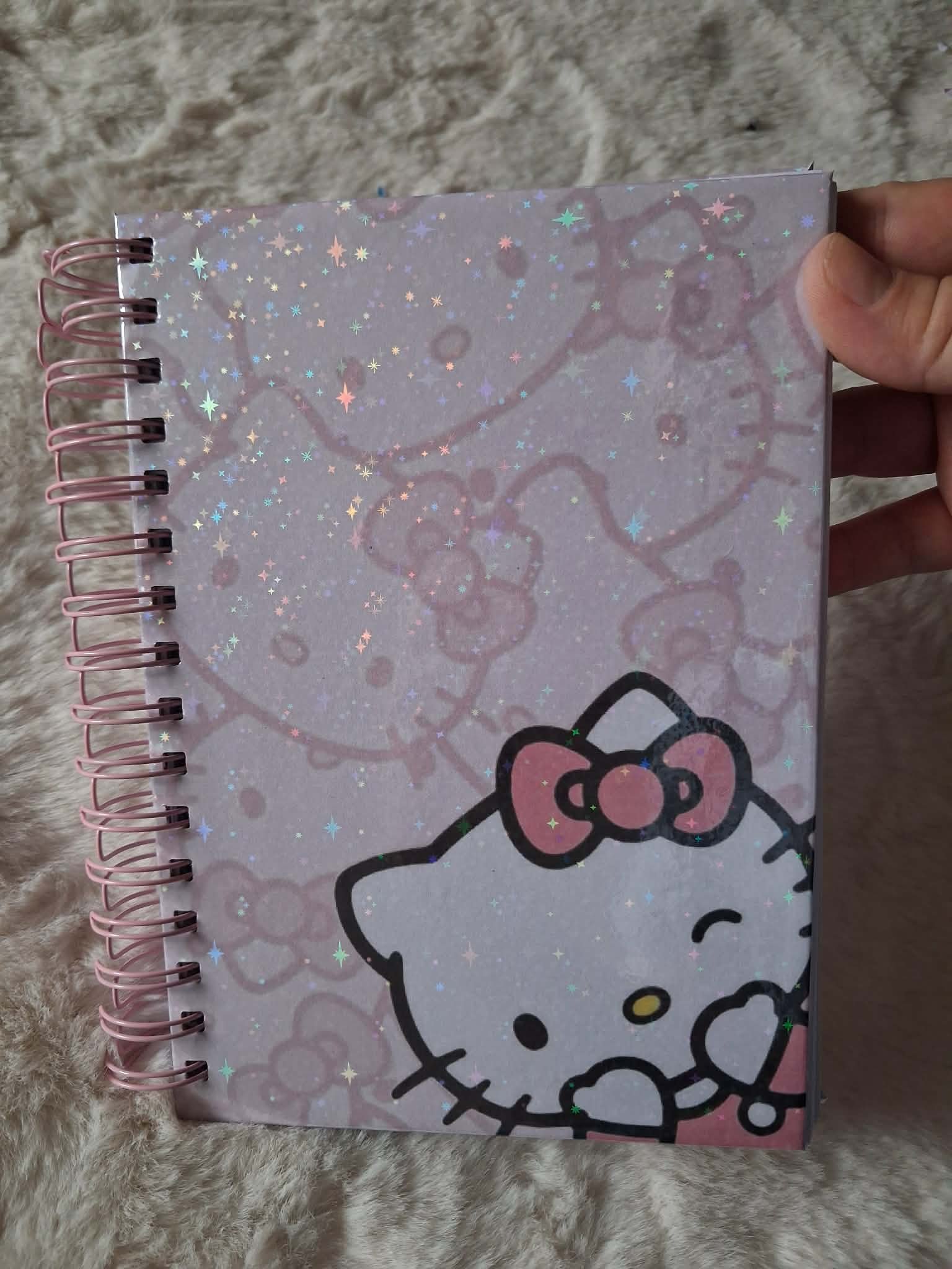 Carnet de notes Hello Kitty de 100 pages avec couverture holographique et reliure métallique.